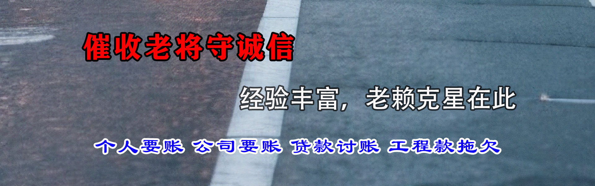 枝江追账公司